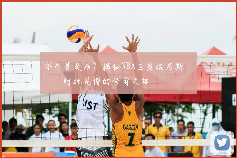 字母哥是谁？揭秘NBA巨星扬尼斯·安特托昆博的传奇之路